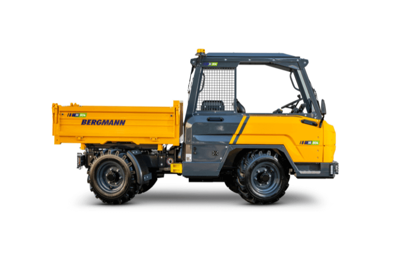 Bergmann C804 Elektrodumper